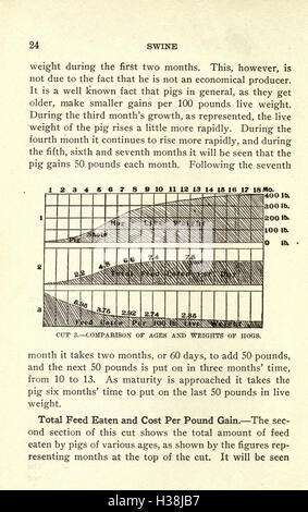 Dieses Handbuch bietet praktische Anleitungen zur Züchtung, Fütterung und zum Management von Schweinen mit dem Schwerpunkt auf der Maximierung der Produktivität und Erhaltung gesunder Bestände. Stockfoto