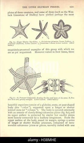 Diese Arbeit erforscht die alte Lebensgeschichte der Erde und konzentriert sich auf wichtige geologische und biologische Ereignisse von der Entstehung des Planeten bis zur Entwicklung des Lebens. Stockfoto