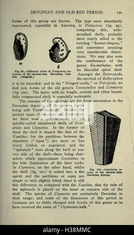 Diese Arbeit erforscht die Geschichte des Lebens auf der Erde und untersucht geologische und biologische Entwicklungen von den frühesten Zeiten bis zur Gegenwart. Stockfoto