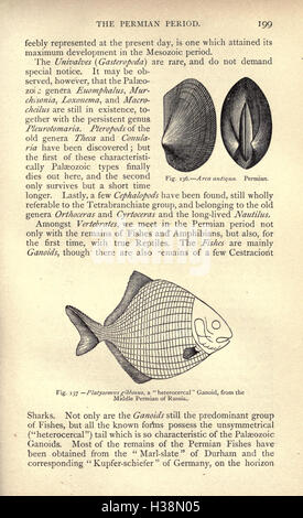 Diese Arbeit erforscht die Geschichte des Lebens auf der Erde und liefert einen chronologischen Überblick über die biologische Evolution und wichtige Meilensteine in der Naturgeschichte der Erde. Stockfoto