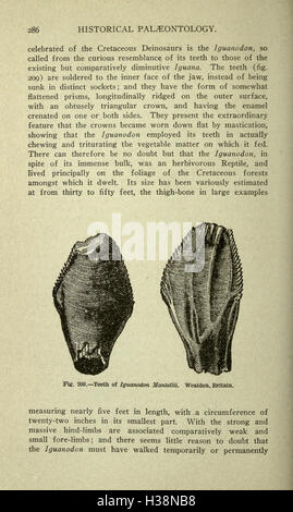 Diese Arbeit erforscht die geologische und biologische Geschichte der Erde und verfolgt die Entwicklung des Lebens und die Entwicklung des Planeten im Laufe der Zeit. Stockfoto