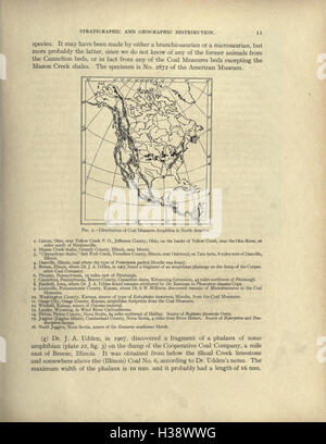 Die Kohle Maßnahmen Amphibia of North America (Seite 11) BHL229 Stockfoto