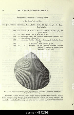 Eine Monographie der Kreidezeit Lamellibranchia von England (Seite 10)-BHL207 Stockfoto