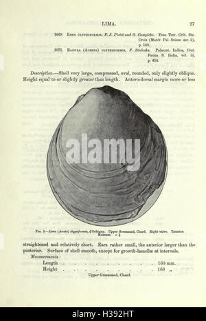 Eine Monographie der Kreidezeit Lamellibranchia von England (Seite 27) BHL207 Stockfoto