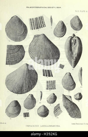 Eine Monographie der Kreidezeit Lamellibranchia England BHL207 Stockfoto