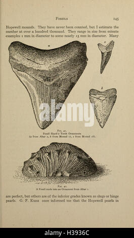 Diese Studie konzentriert sich auf die Hopewell-Hügelgruppe in Ohio und erforscht die archäologische Bedeutung der Stätte. Auf Seite 145 werden Konstruktion, Artefakte und kulturelle Auswirkungen der Hügel erläutert. Stockfoto