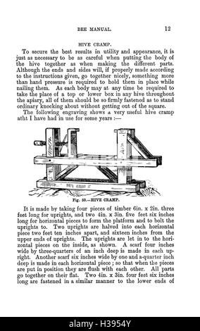 Die illustrierte Australasian Biene manuelle und vollständige Anleitung zur modernen Biene Kultur in der südlichen Hemisphäre BHL385 Stockfoto