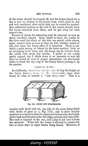 Die illustrierte Australasian Biene manuelle und vollständige Anleitung zur modernen Biene Kultur in der südlichen Hemisphäre BHL385 Stockfoto