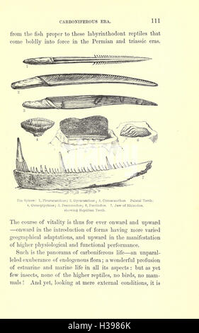 Diese Arbeit erforscht die geologische und biologische Evolution der Erde und hebt Veränderungen in Lebensformen und Ökosystemen im Laufe der Geschichte hervor, von der Antike bis zur heutigen Umwelt. Stockfoto