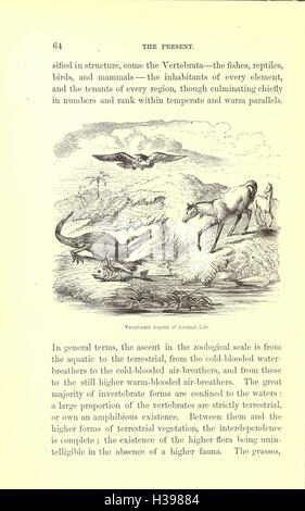 Diese Arbeit erforscht die Geschichte der Erde, untersucht geologische, biologische und ökologische Veränderungen von ihrer Entstehung bis heute und bietet Einblicke in die Evolution der Erde. Stockfoto