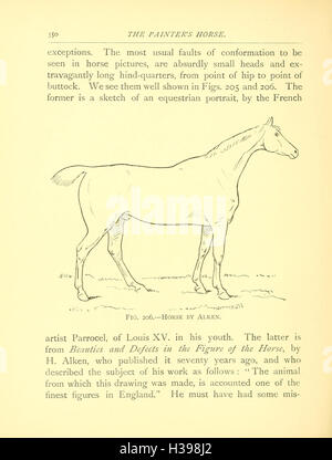 In diesem Text werden die verschiedenen anatomischen Merkmale und physischen Merkmale des Pferdes erläutert, die als „Punkte“ bezeichnet werden. Es wird erklärt, wie diese Punkte wichtig sind, um das Exterieur, die Gesundheit und die Eignung des Pferdes für verschiedene Reitaktivitäten zu beurteilen. Stockfoto