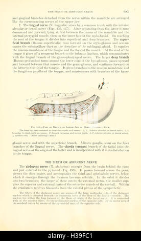 Ein Lehrbuch der Veterinär-Anatomie (Seite 683) BHL185 Stockfoto