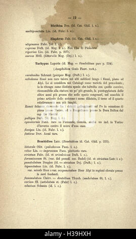 Dieser Katalog enthält eine Liste der im italienischen Piemont gefundenen Käferarten und enthält detaillierte Beschreibungen der Merkmale, des Lebensraums und der Verteilung der einzelnen Arten in dem Gebiet. Stockfoto