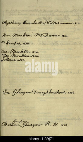 Ein umfassender Katalog der in Schottland gefundenen Käfer-Arten mit detaillierten Beschreibungen und Klassifizierungen verschiedener Coleoptera. Stockfoto