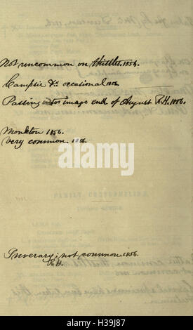 In diesem Katalog werden die in Schottland gefundenen Coleoptera-Arten aufgelistet, die detaillierte Beschreibungen und Klassifizierungen der Käferarten enthalten. Stockfoto