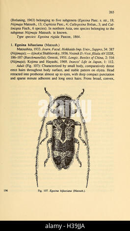 Diese Arbeit konzentriert sich auf die Familie der Cerambycidae, die in Nordasien vorkommt, und liefert detaillierte Beschreibungen der Arten, ihres Verhaltens und ihrer ökologischen Rolle. Stockfoto