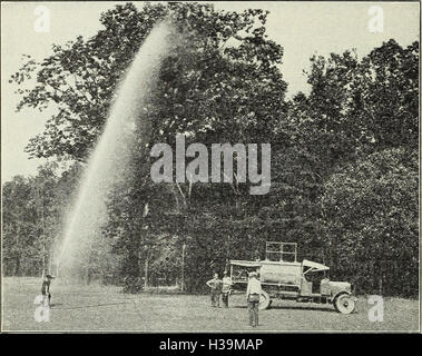 Kontrolle über die japanische Käfer auf Obst- und Laubbäume (1932) (2050421 Stockfoto