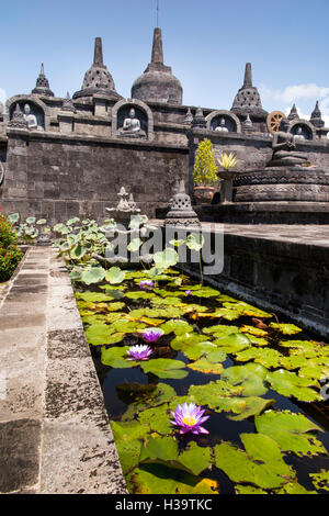 Indonesien, Bali, Banjar, Tegehe Dorf, Brahma Vihara Arama, buddhistisches Kloster, Stupa Borobodur und Lotus Pool anhand Stockfoto