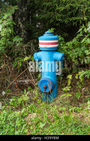 alte Art von blau Metall Hydranten im grünen Bereich Stockfoto