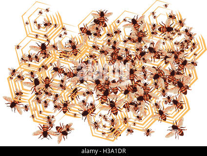 Bienen auf Honig Kamm Stockfoto