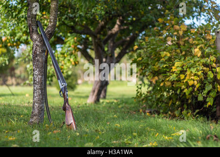 Schrotflinte gegen einen Baum außerhalb an einem schattigen Plätzchen an einem sonnigen Tag ruhen. Stockfoto