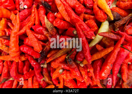 Indonesien, Lombok, Selong Blanak, Küche, rote Chilischoten trocknen in der Sonne Stockfoto