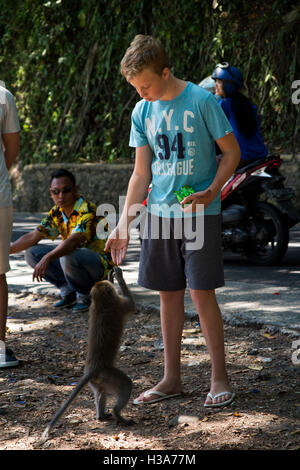 Indonesien, Lombok, Mataram, Pusuk Pass, Affenwald, touristische lange tailed Macaque per hand füttern Stockfoto