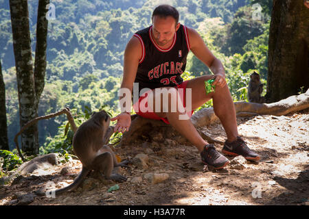 Indonesien, Lombok, Mataram, Pusuk Pass, Affenwald, touristische lange tailed Macaque per hand füttern Stockfoto
