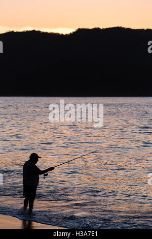 Ein Tico Fische an einem Strand am Guancaste in Costa Rica in der Abenddämmerung. Stockfoto