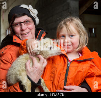Frau und junge Mädchen hält ein Neugeborenes Lamm, Bauernhof in Island Stockfoto