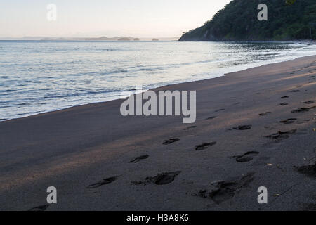 Sonnenaufgang am Playa Matapalo in Guanacaste Provinz von Costa Rica. Stockfoto