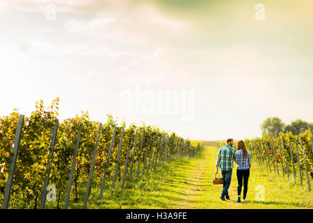 Paar der Winzer im Weinberg Stockfoto
