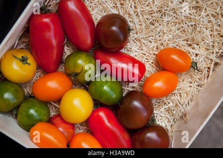 Nahaufnahme von verschiedenen Tomaten in einer Kiste auf einem Marktstand Stockfoto