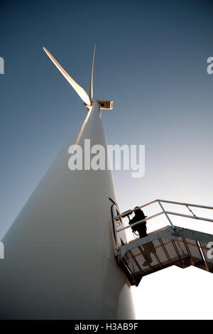 Sound-Künstler Justin Bennett Aufzeichnung Geräusche im und um den Container-Häfen und Windkraftanlagen um Euromax Terminal Stockfoto