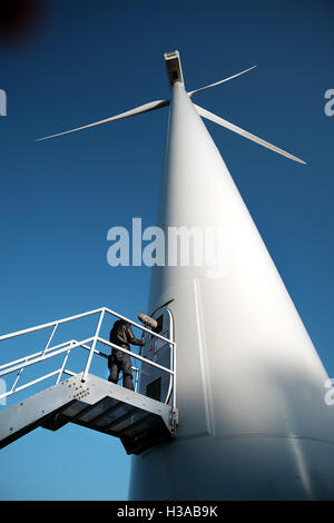 Sound-Künstler Justin Bennett Aufzeichnung Geräusche im und um den Container-Häfen und Windkraftanlagen um Euromax Terminal Stockfoto