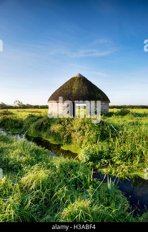 Eine Runde reetgedeckte Scheune bekannt als eine kreisförmige Linhay auf Braunton Marshes in der Devon-Landschaft Stockfoto