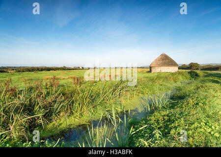 Eine Runde reetgedeckte Scheune bekannt als eine kreisförmige Linhay auf Ackerland bei Braunton Marshes in der Nähe von Barnstaple Devon Stockfoto