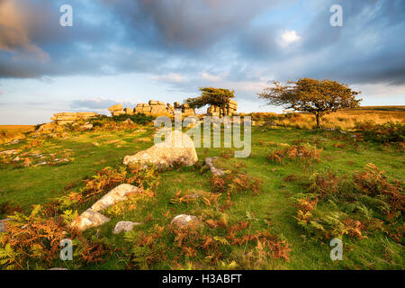 Combestone Tor auf Dartmoor National Park in Devon Stockfoto