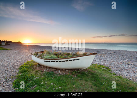 Der Strand von Budleigh Salterton an der Küste von Devon Stockfoto