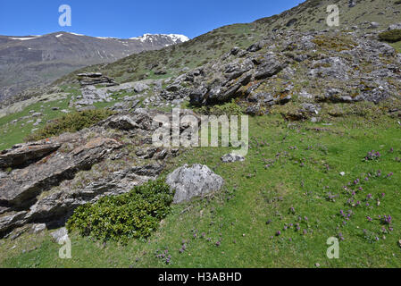 Berghang auf dem Plateau Maillet Stockfoto