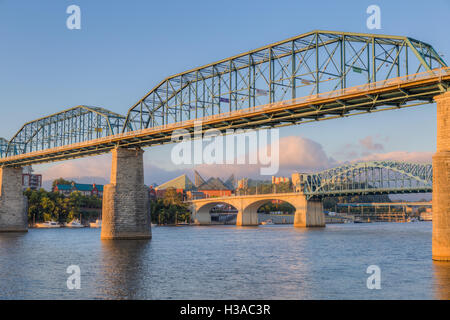 Die Walnut Street, Chief John Ross (Market Street) und Olgiati Brücken über den Tennessee River in Chattanooga, Tennessee. Stockfoto