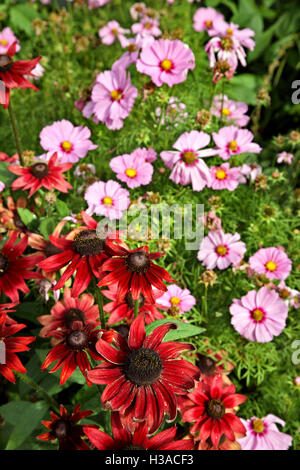 Wunderschöne Blumen in den Gärten des Drottningholm Palast, während eine tägliche Kreuzfahrt zum Mälarsee aus Stockholm, Schweden. Stockfoto