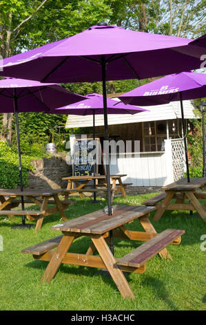 Der Bienenstock, ein Wirtshaus in Henleaze, Bristol, UK. Stockfoto