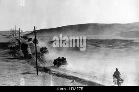 Deutsche motorisierte Jagdpanzer zu Jahresbeginn den Russlandfeldzug 1941 Stockfoto