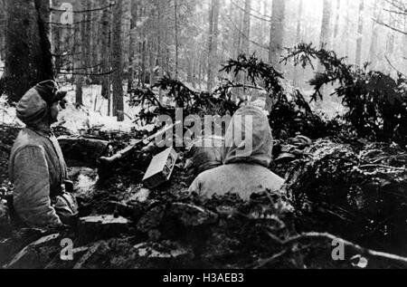 Deutsche Position in Kurland Brückenkopf, 1945 Stockfoto