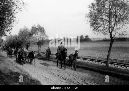 Rückzug der Wehrmacht während der Kämpfe in Ostpreußen, 1945 Stockfoto