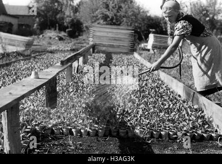 Landjahrmaedel (Land Jahr Mädchen) Bewässerung, 1940 Stockfoto