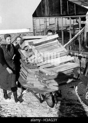 Jungmädel während Landdienst (Dienst) im Winter, 1940 Stockfoto