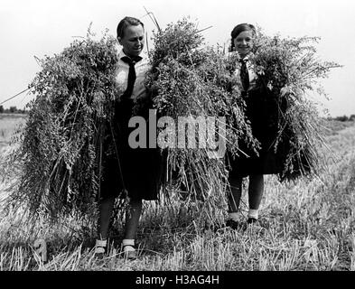 BDM-Mädchen während der Getreideernte, 1939 Stockfoto