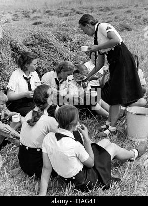 Landdienst Jugend während der Getreideernte, 1939 Stockfoto